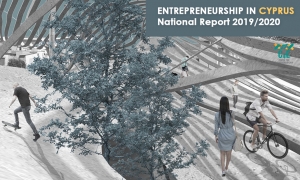 4η Εθνική Έκθεση Αναφοράς για την Επιχειρηματικότητά στην Κύπρο  Entrepreneurship in Cyprus – National Report